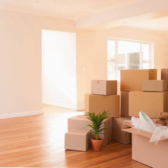 A-BRIEF-GUIDE-ON-MOVING-A-COLLECTION