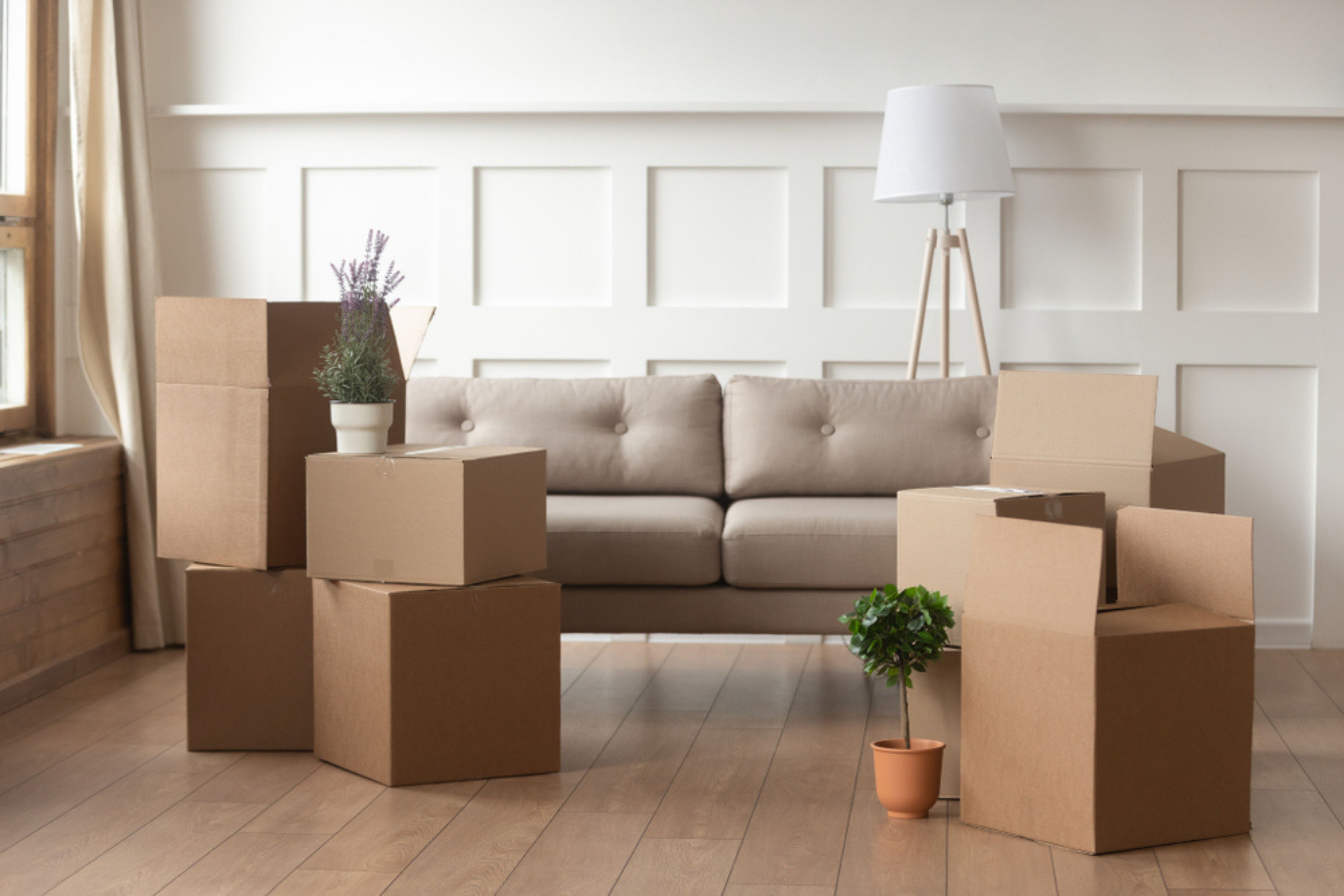 Low-Price Movers with Ease