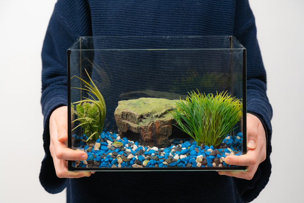 How to Move a Fish Tank When Moving House